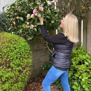 Meet your Posher, Joy